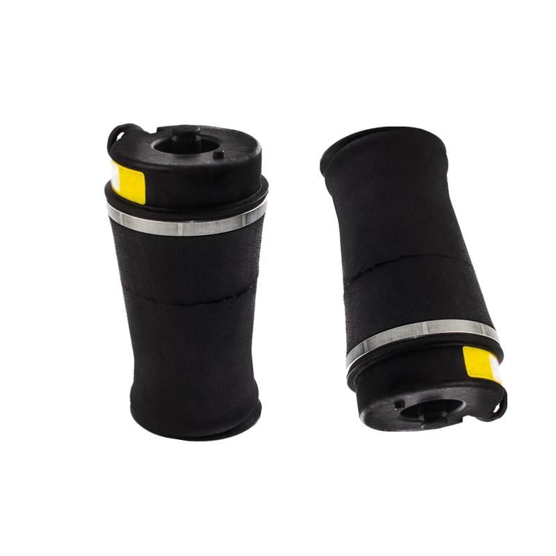 Auto Part Air Suspension System Air Spring for Ford Expedition / Lincoln Navigator 2W Shock Absorber OEM 3u2z5580ka 1L1z5319AA