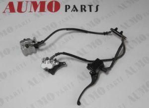 Brake Assy for New CPI Qm125-2D Motorcycle Brake Part