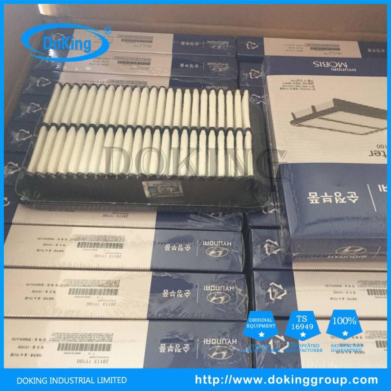 Good Quality Low Price Car Air Filter 28113-1y100