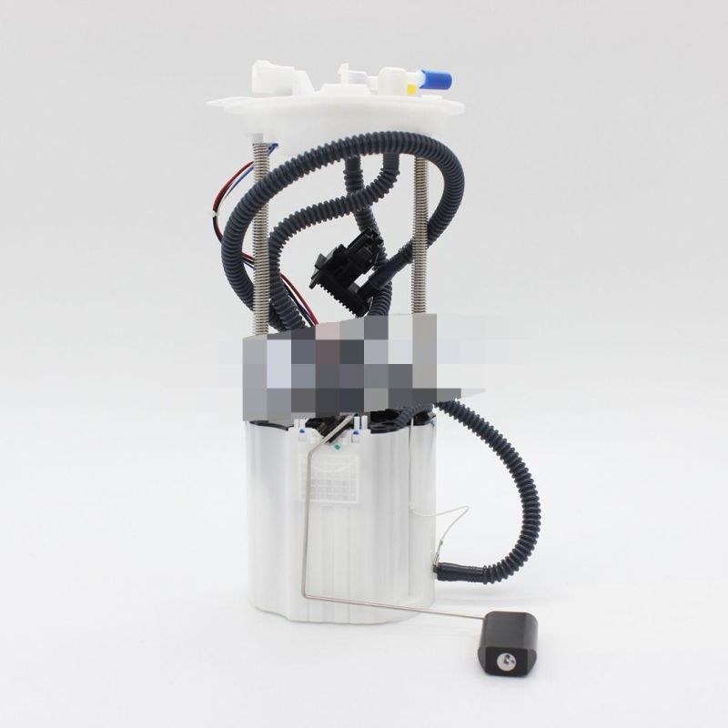 High Quality Fuel Pump Assembly for Chevrolet Akk55097, 13594750