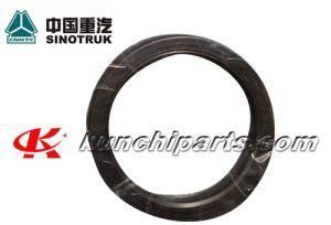 Az9925520223 160*194*10.5 Balance Shaft Oil Seal for Sinotruk HOWO