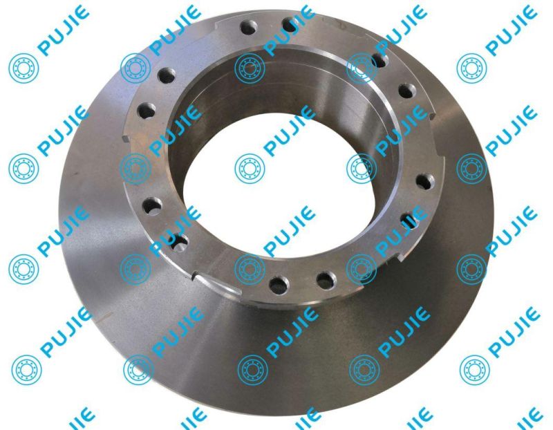 China Factory Saf Rear Truck Brake Disc OE 4079001300