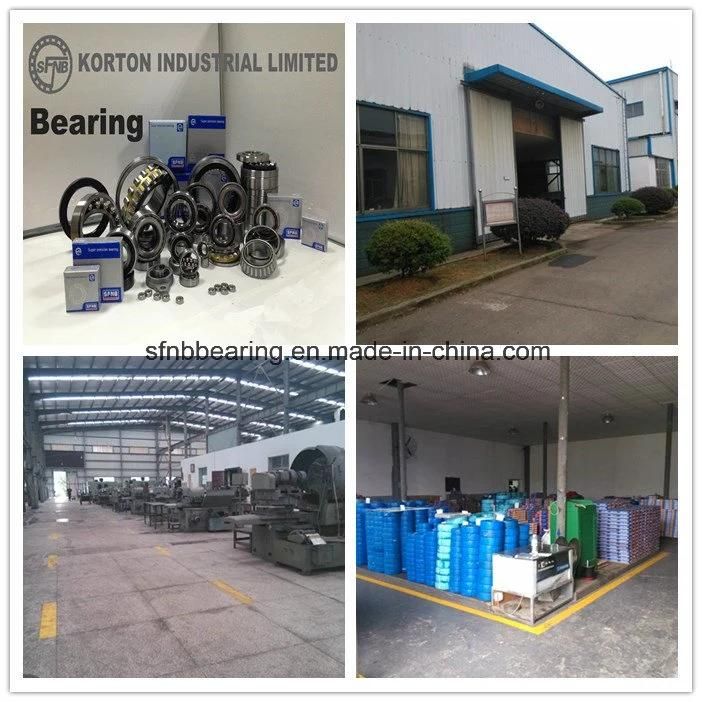 NSK Truck Parts Auto Bearing Cylindrical Roller Bearings Rn312 Eccentric Roller Bearing