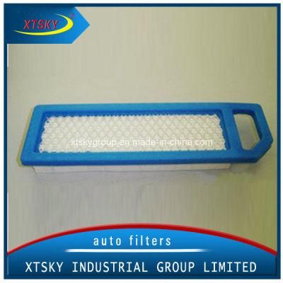 Xtsky Auto Part High Quality Auto Air Filter (OEM NO.: 11029-7010)