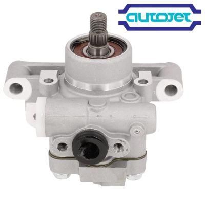 Power Steering Pumps for American, British, Japanese and Korean Cars High Quality and Good Price