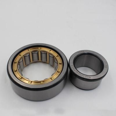 Nu/Nj/N/Nup 2218 406 407 408 409 410 Cylindrical Roller Bearing for Auto or Moto Wheel