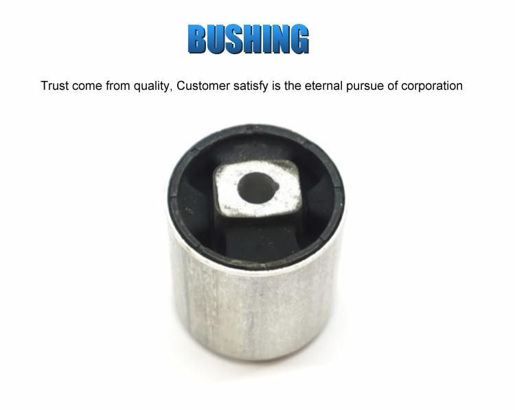 31121092010 Front Upper Suspension Control Arm Bushing for BMW