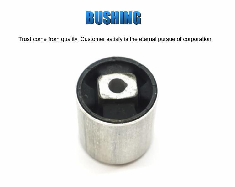 31121092010 Front Upper Suspension Control Arm Bushing for BMW