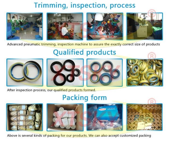 Xtsky Tcy Oil Seal (60*100*12mm)