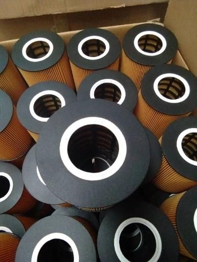 Hu1381X Ox146D E13HD47 1457429137 92026e Auto Oil Filter Element