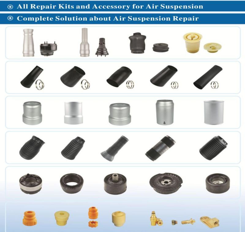 Air Shock Absorber for Mercedes Benz W251 Rear R Class