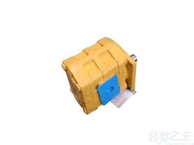 Part 803004540 Cbgj2080 Wheel Loader Spare Part Hydraulic Working Pump Steering Pump