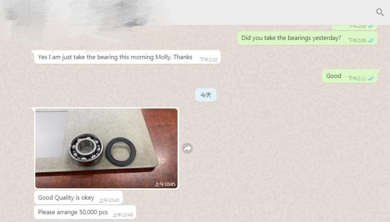 China Hot-Sale Bearing Steel 6000 Series Wheel Rolling Bearing