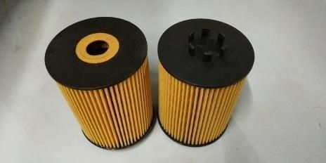 D19TCI-13230-1 D19TCI-132301 S1000L21173-13015 X191315 Engine Oil Car Accessories China
