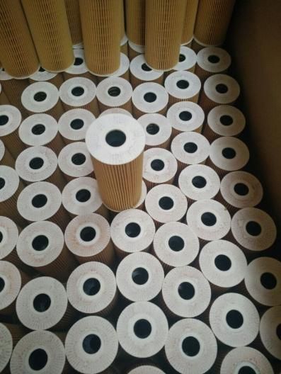 Performance Auto Engine Oil Filter 1457429619 E154HD48 Ox143D Hu726/2X Xm21-6744-AA 074115562 038115466