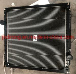 Sinotruk Radiator Wg9719530011 Sinotruk Shacman Foton FAW Truck Spare Parts