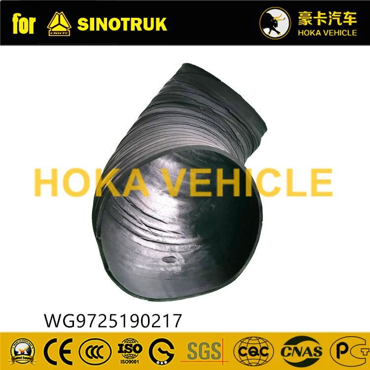 Original Sinotruk HOWO Truck Spare Parts Intake Pipe for Air Filter Assy Wg9725190217