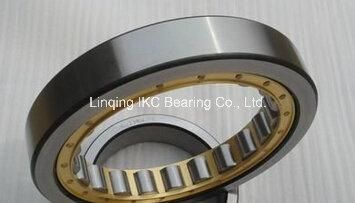 China Big Factory Good Price Cylindrical Roller Bearings N215 Nu215