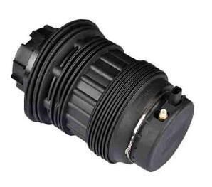 970 Paramera 2009 Rear Air Spring