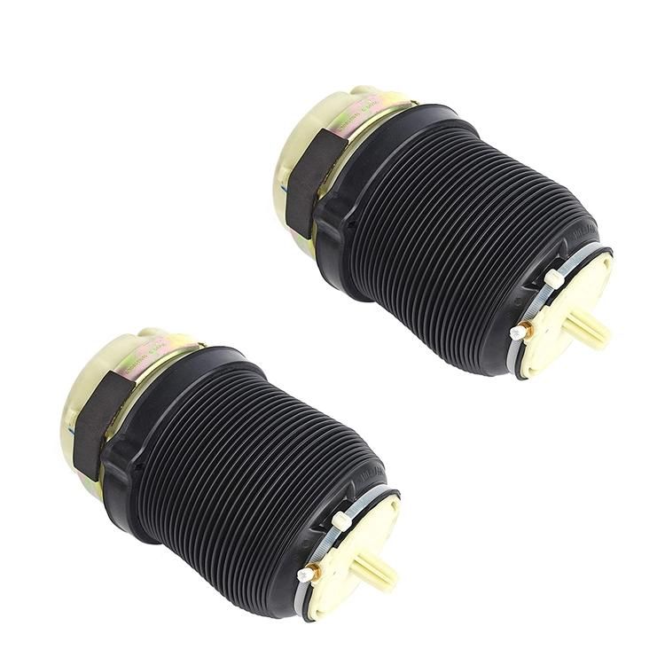 Auto Parts High Quality Audi A6 C6 4f Air Suspension Balloon Spring Rear Left Right 4f0616001 4f0616001j Shock