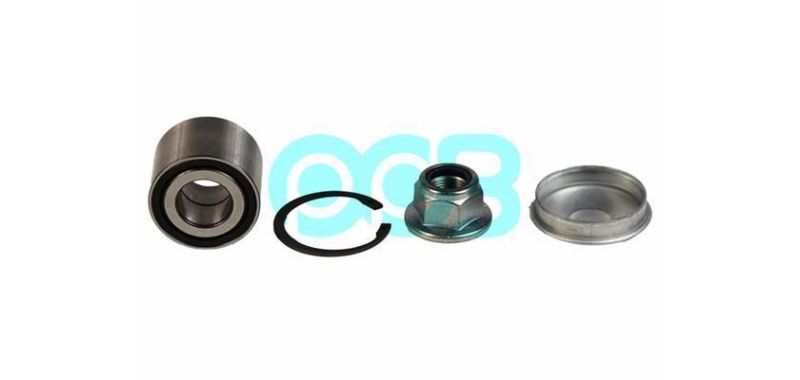 25mm 7701205812 R155.63 Vkba 3525 Wheel Bearing Bearing Repair Kit for Dacia R-Enault Nissan