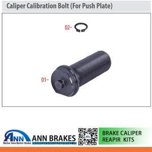 Caliper Calibration Bolt (For Push Plate) Haldex Series Gen 1 Gen 2 Type Brake Caliper Repair Kit for Truck Saf Renault China