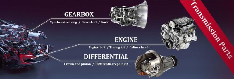 Differential Assembly for Mitsubishi Fuso Canter 6X37 6X40 Axle Spline Teeth 18t