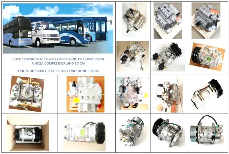 China OEM Supplier Middle Bus Air Conditioner Compressor
