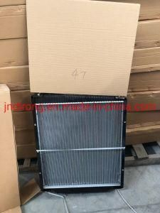 Shacman Radiator Dz9112530268 Sinotruk Shacman Foton FAW Truck Spare Parts