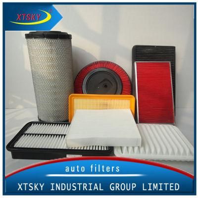 Air Filter/Xtsky Air Filter 16546-84A10 with High Quality