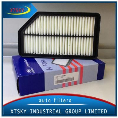 High Quality PP Hyundai Air Filter 28113-1r100