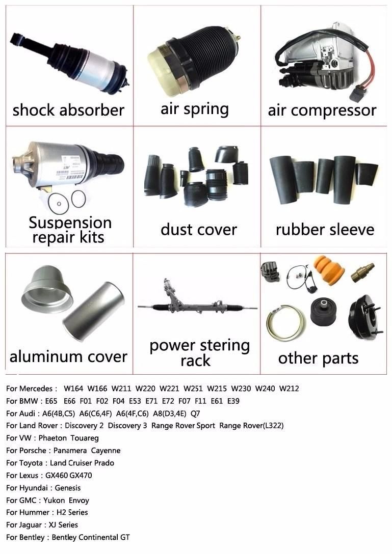 Rear Left Air Suspension Shock Absorber 8r0 513 025j for Audi Q5