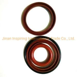 Fast 16js200t Manual Transmission Oil Seal Repair Kit 16js200t-1702067