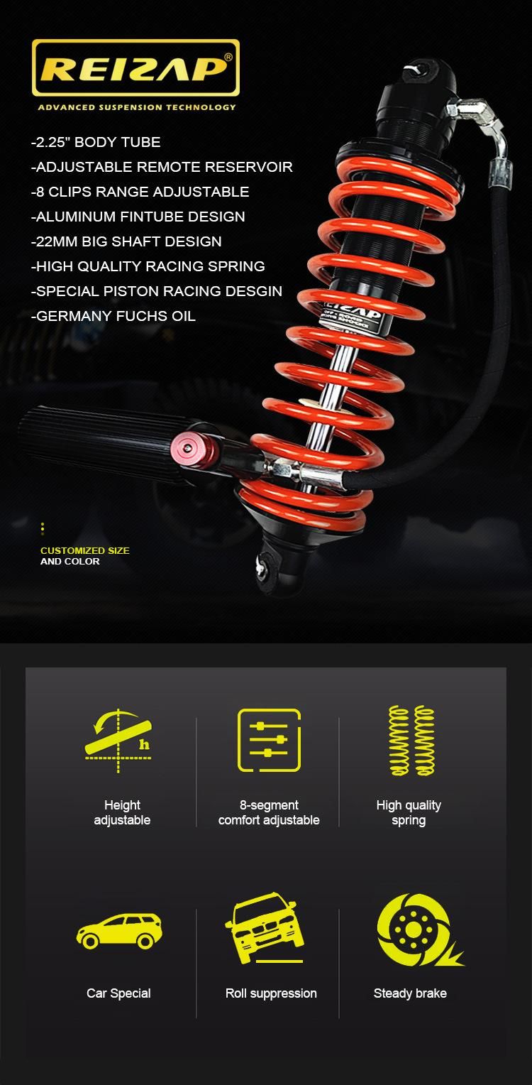 4 Ways Adjustment Racing Coilover Shock Absorber with Eibach Springs