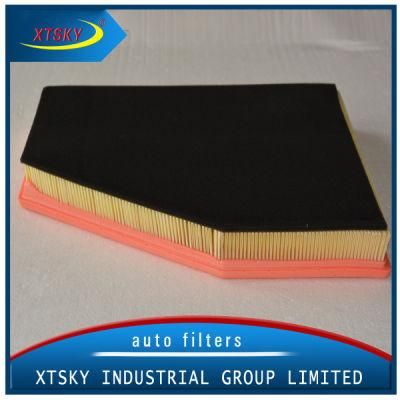 Hot Sale Auto Air Filter (C31143) for BMW