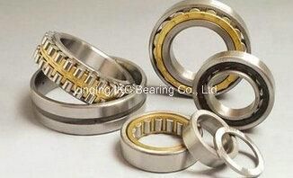 High Quality Bearing, Cylindrical Roller Bearing Nu215, N216,