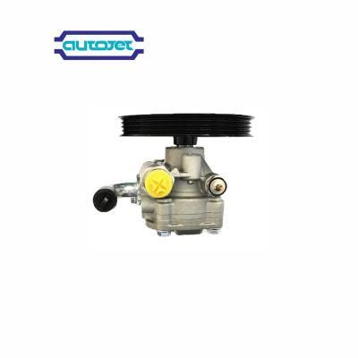 Power Steering Pump for Hyundai H1 H-1 Starex 07auto Parts High Quality Auto Spare Part 57100-4h200