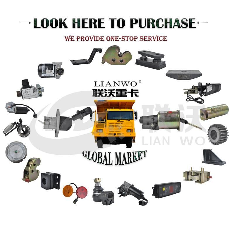 Wg9725230041 Aftermarket Sino Truck HOWO Spare Parts Diesel Engine System Parts Trailer Bus Clutch Servo Booster