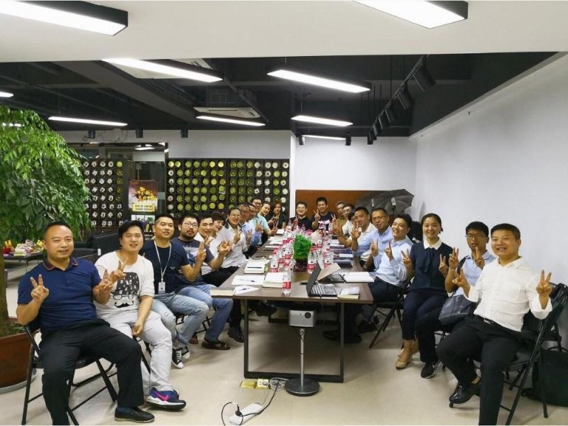 Langtop Best Performance for Toyota Torqueworm Limited Slip Differential with 4.1ratio