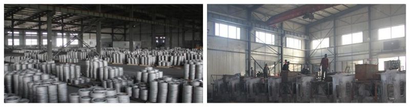 Auto Parts Precision Casting Iron/Steel Auto Brake Discs for Auto Brake System
