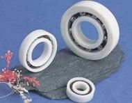 Full Plastic Ball Bearings for Use Under Water