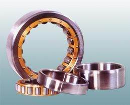 Cylindrical Roller Bearing (NU215ECM)