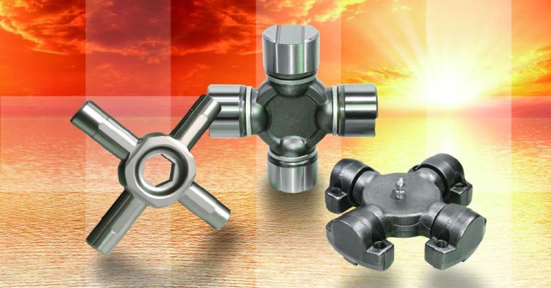 Special Universal Joint Factory From China