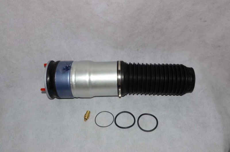 BMW 7 Series F02 Rear Air Suspension Spring