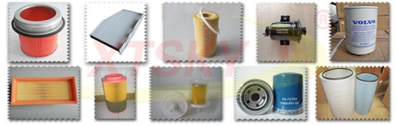 Xtsky High Quality Oil Filter /Auto Part W1170-12