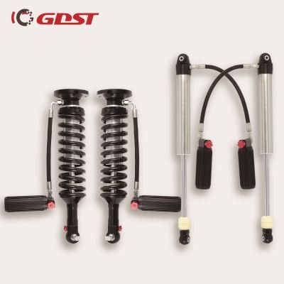 Gdst Top Quality Shock Absorber Mono Suspension for Ford F150