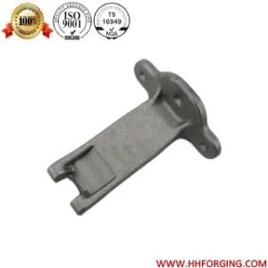 OEM Forged Door Hinges for Auto Parts