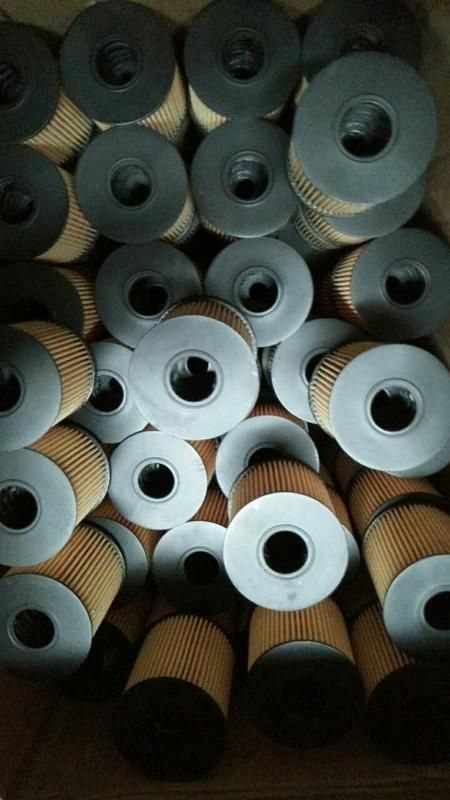 Auto Parts Factory Supply French Car Oil Filter 1109z1 1109z2 Hu711/51X for 2008 3008 4007 5008 Rcz