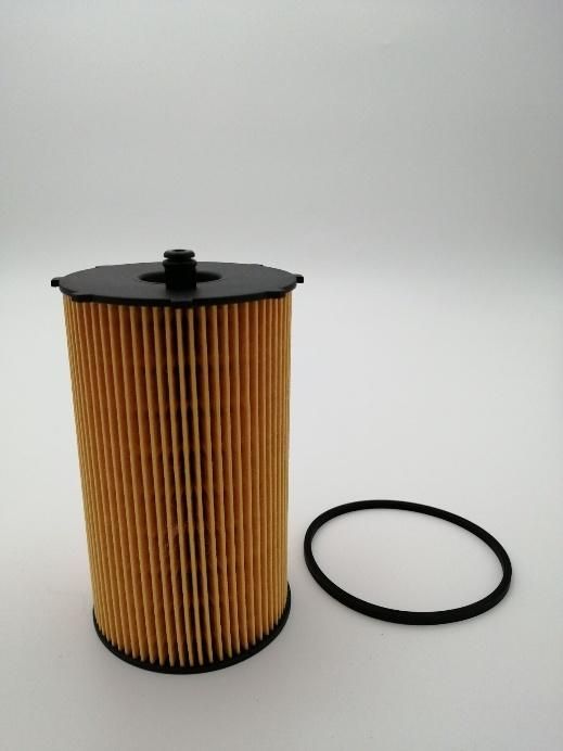 Ox205/2D Hu934/1X E102HD156 Car Oil Filter