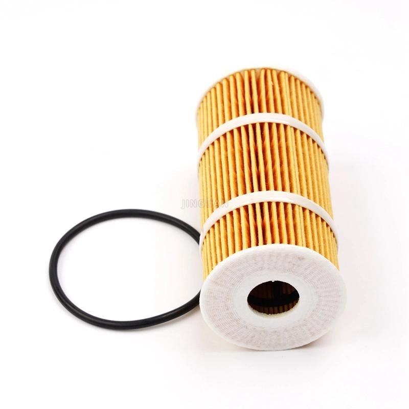 Spare Engine Accessories Parts Eco Oil Filter 6221800009 OEM / 4207841 / 71754237 / 55224598